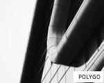 POLYGO anagram