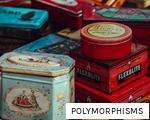 POLYMORPHISMS anagram