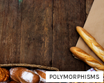 POLYMORPHISMS anagram