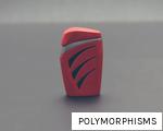 POLYMORPHISMS anagram
