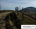 POSSIBILITY anagram