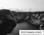 POSTGANGLIONIC anagram