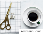 POSTGANGLIONIC anagram