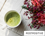 POSTPOSITIVE anagram