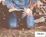PRAYI anagram