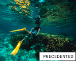 PRECEDENTED anagram