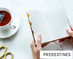 PREDESTINES anagram