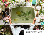 PREDESTINES anagram