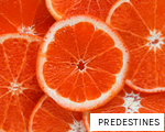 PREDESTINES anagram