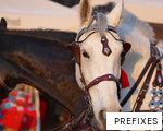 PREFIXES anagram