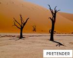 PRETENDER anagram
