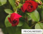 PRICKLINESSES anagram