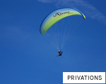 PRIVATIONS anagram