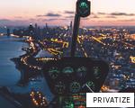 PRIVATIZE anagram