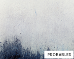 PROBABLES anagram