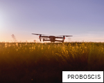 PROBOSCIS anagram