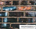 PROFESSEDLY anagram
