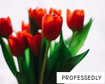 PROFESSEDLY anagram
