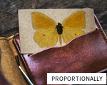 PROPORTIONALLY anagram