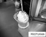 PROTURAN anagram