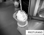 PROTURANS anagram
