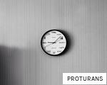 PROTURANS anagram