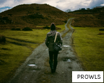 PROWLS anagram