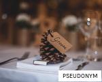 PSEUDONYM anagram