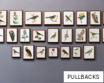 PULLBACKS anagram