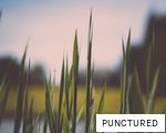 PUNCTURED anagram