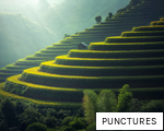 PUNCTURES anagram