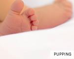 PUPPING anagram