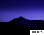 PURPLED anagram