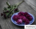 PURPLES anagram