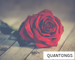 QUANTONGS anagram