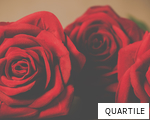 QUARTILE anagram