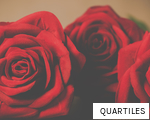 QUARTILES anagram