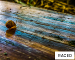 RACED anagram