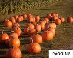 RAGGING anagram