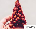 RAGGING anagram
