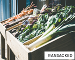 RANSACKED anagram