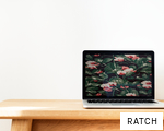 RATCH anagram