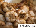 RATIONALITIES anagram