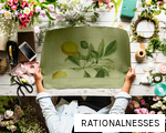 RATIONALNESSES anagram