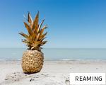 REAMING anagram