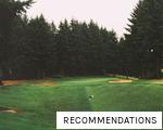 RECOMMENDATIONS anagram