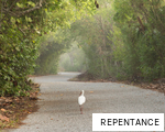 REPENTANCE anagram