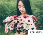 REPLANTS anagram