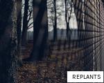 REPLANTS anagram