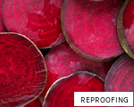 REPROOFING anagram